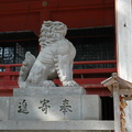 Dewa14
