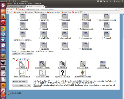 サーバ MySQL