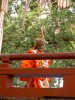 陵王 慈恩寺舞楽 12