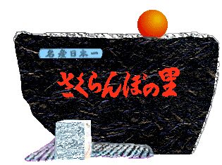 さくらんぼの里
